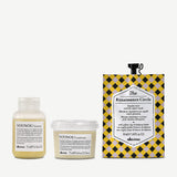 Davines Damaged Hair Travel Set